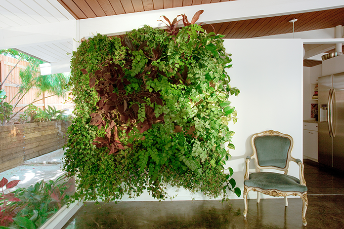 Create A Beautiful Vertical Garden On Your Wall Serendipity