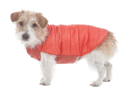 giftguide-mungo-and-maud-beetle-dog-coat-coral