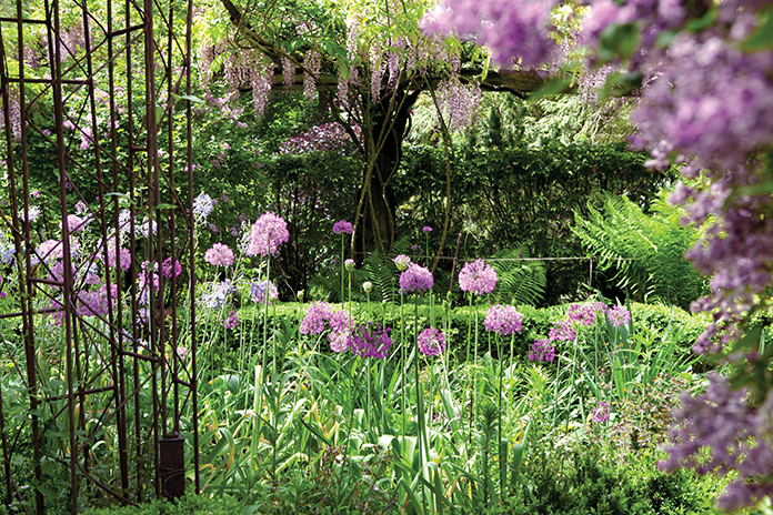 The allium garden is a highlight of the property.