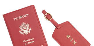 Passport cover and luggage tag