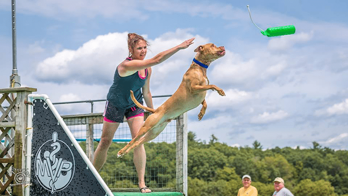 North Fork Dog Dock Diving Festival