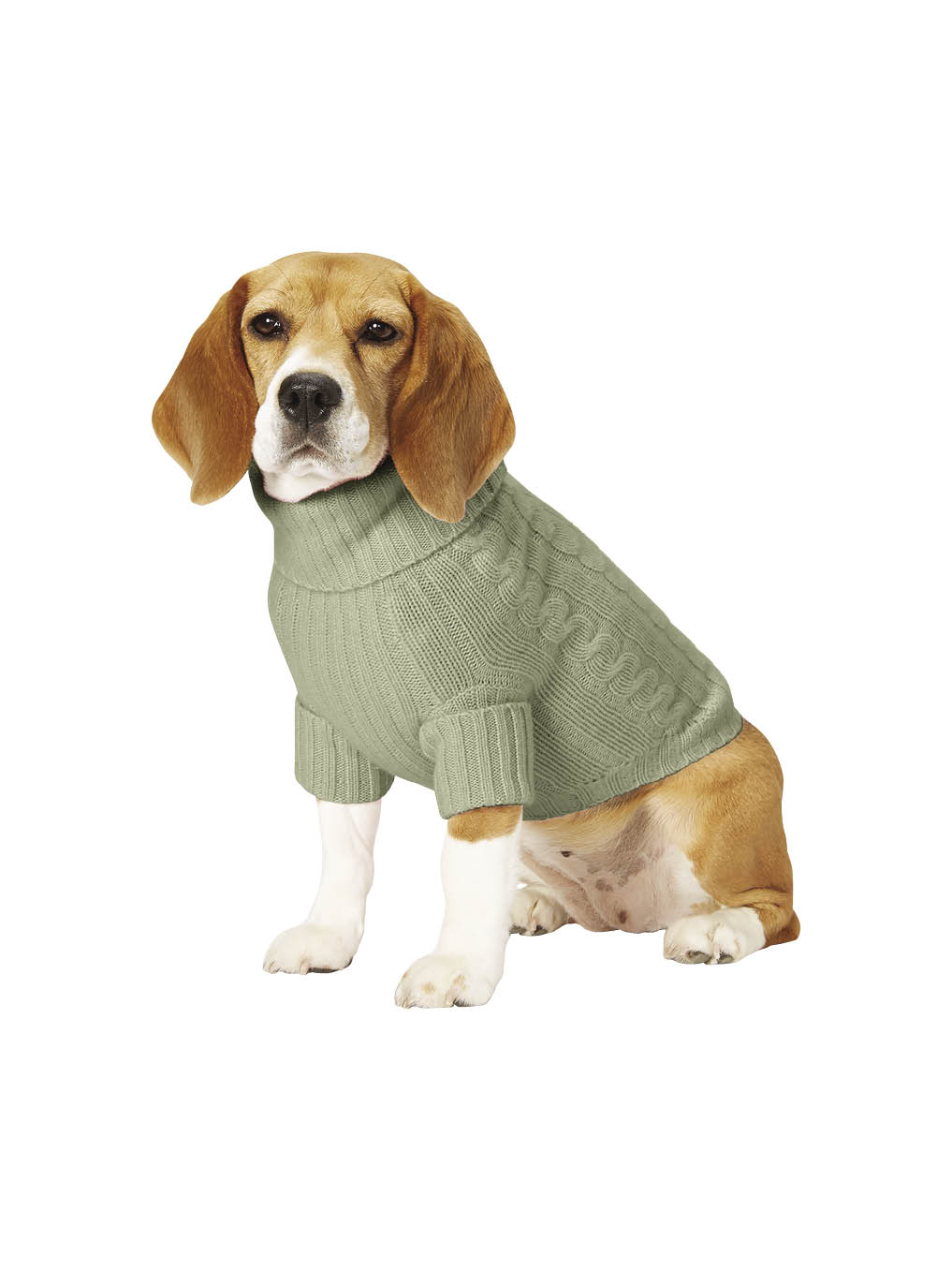Cashmere Dog Sweater | Serendipity