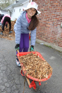 Volunteer helping mulch