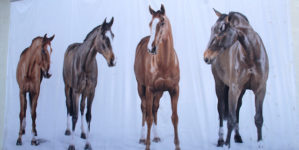 Banner of Horses