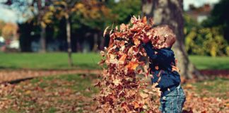 Boy playing in leaves