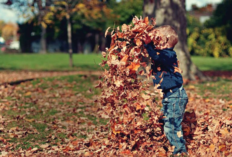 Boy playing in leaves