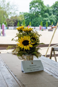 Image from Ox Ridge Charity Horse Show