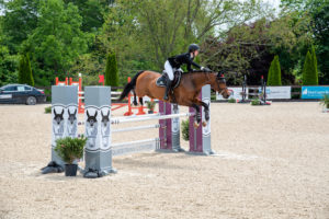 Image from Ox Ridge Charity Horse Show