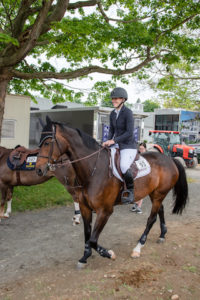 Image from Ox Ridge Charity Horse Show