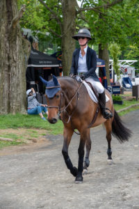 Image from Ox Ridge Charity Horse Show