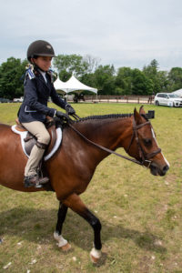 Image from Ox Ridge Charity Horse Show