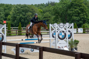 Image from Ox Ridge Charity Horse Show