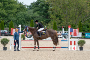 Image from Ox Ridge Charity Horse Show