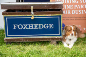 Image from Ox Ridge Charity Horse Show