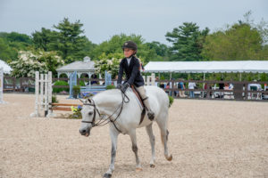 Image from Ox Ridge Charity Horse Show