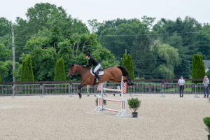 Image from Ox Ridge Charity Horse Show