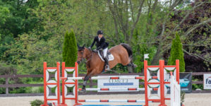 Image from Ox Ridge Charity Horse Show