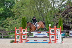 Image from Ox Ridge Charity Horse Show