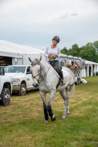 Image from Ox Ridge Charity Horse Show